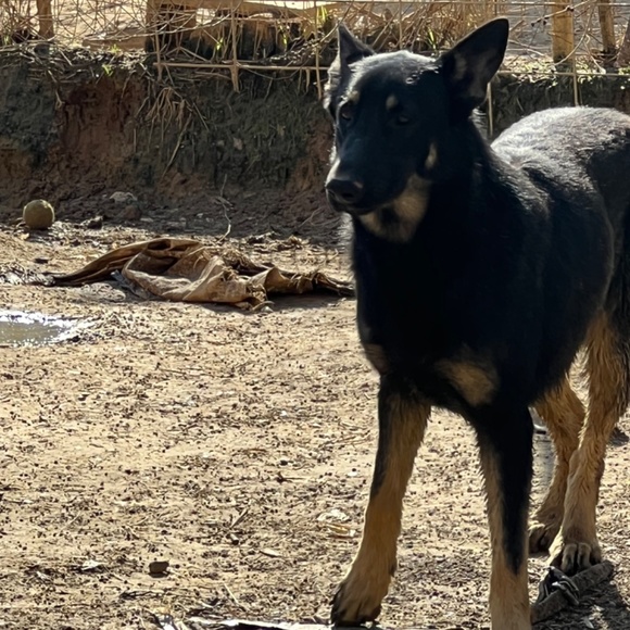 Homework Comfort - Picture 4 of 16